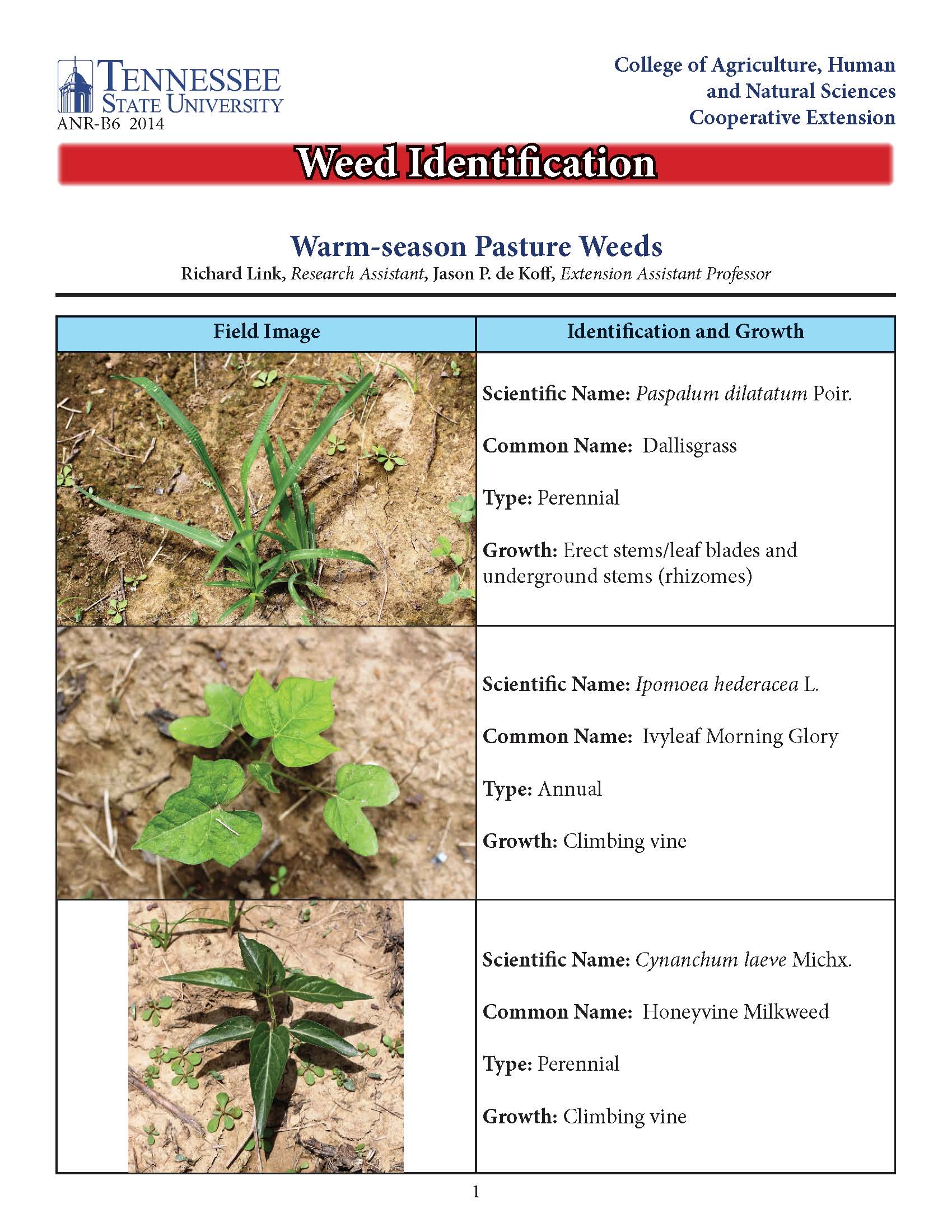 Warm-season pasture weed identification fact sheet