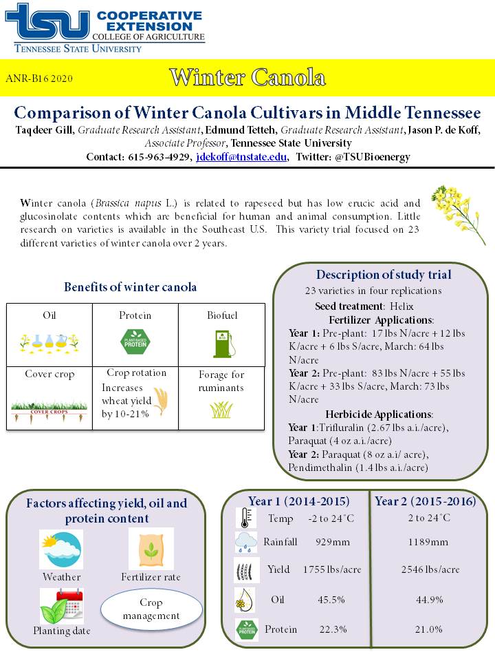 Front cover of winter canola factsheet