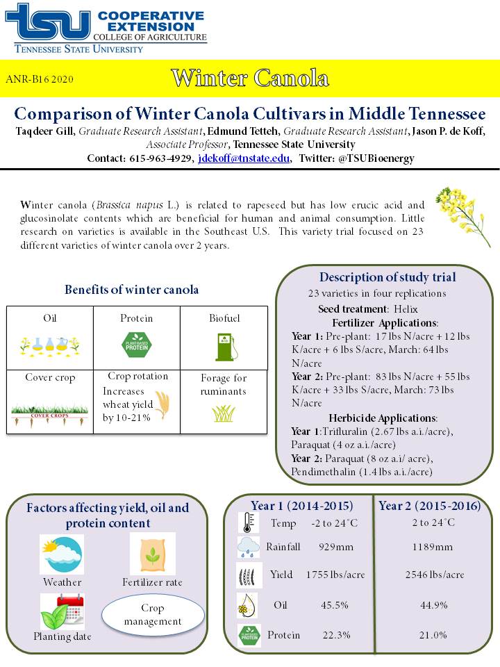Front cover of winter canola factsheet