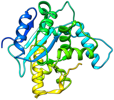 protein structure_tranparent