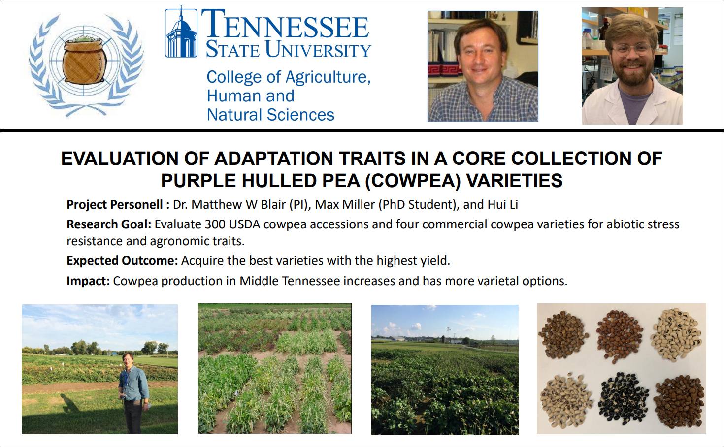 Cowpea Research Adaptation Traits