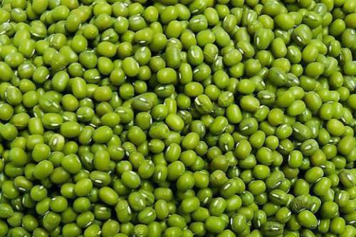 Mung Bean