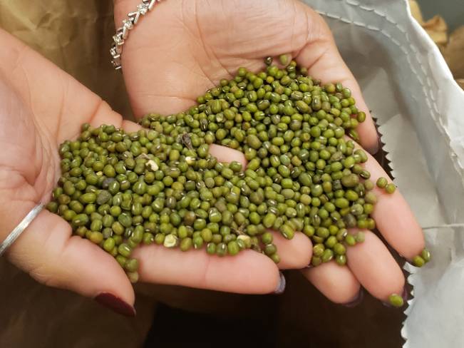 MungBean Project