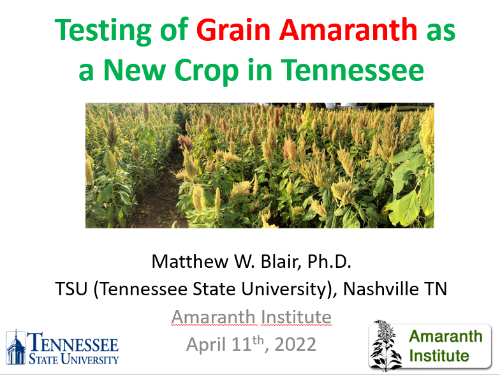 Grain Amaranth as New Crop