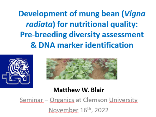 Mung Bean Development