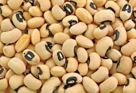 Cowpea image