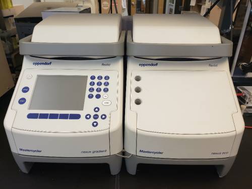 Eppendorf Mastercycler