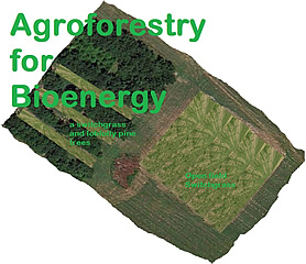 World Agroforestry Centre