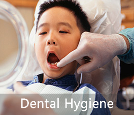 Dental Hygiene