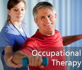Occupational Therapy