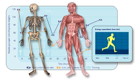 research image
