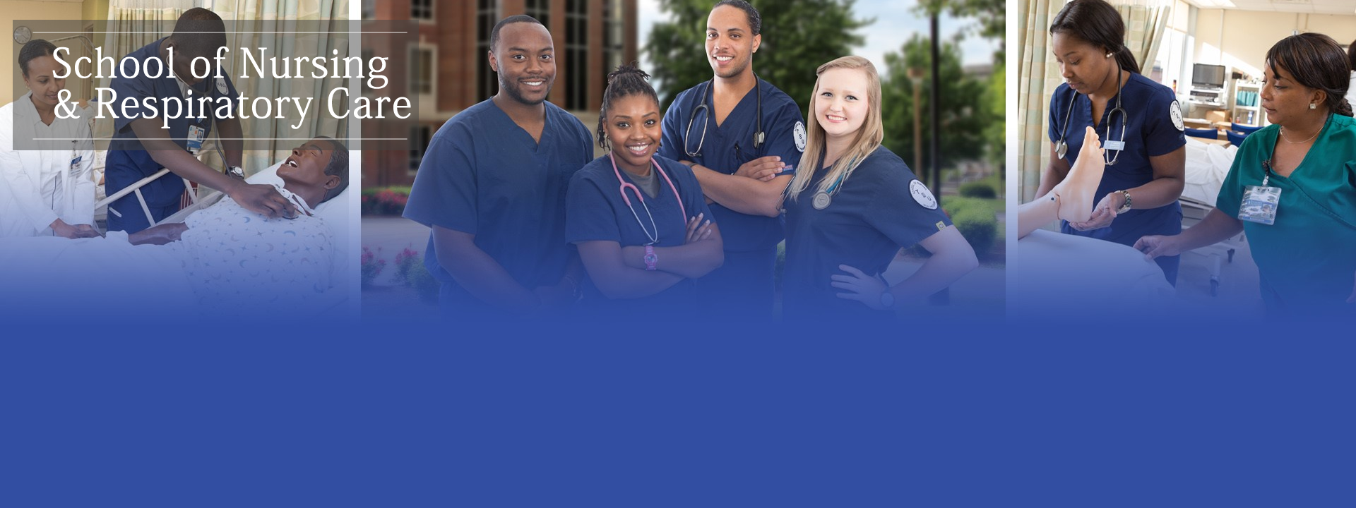 Master Of Science In Nursing