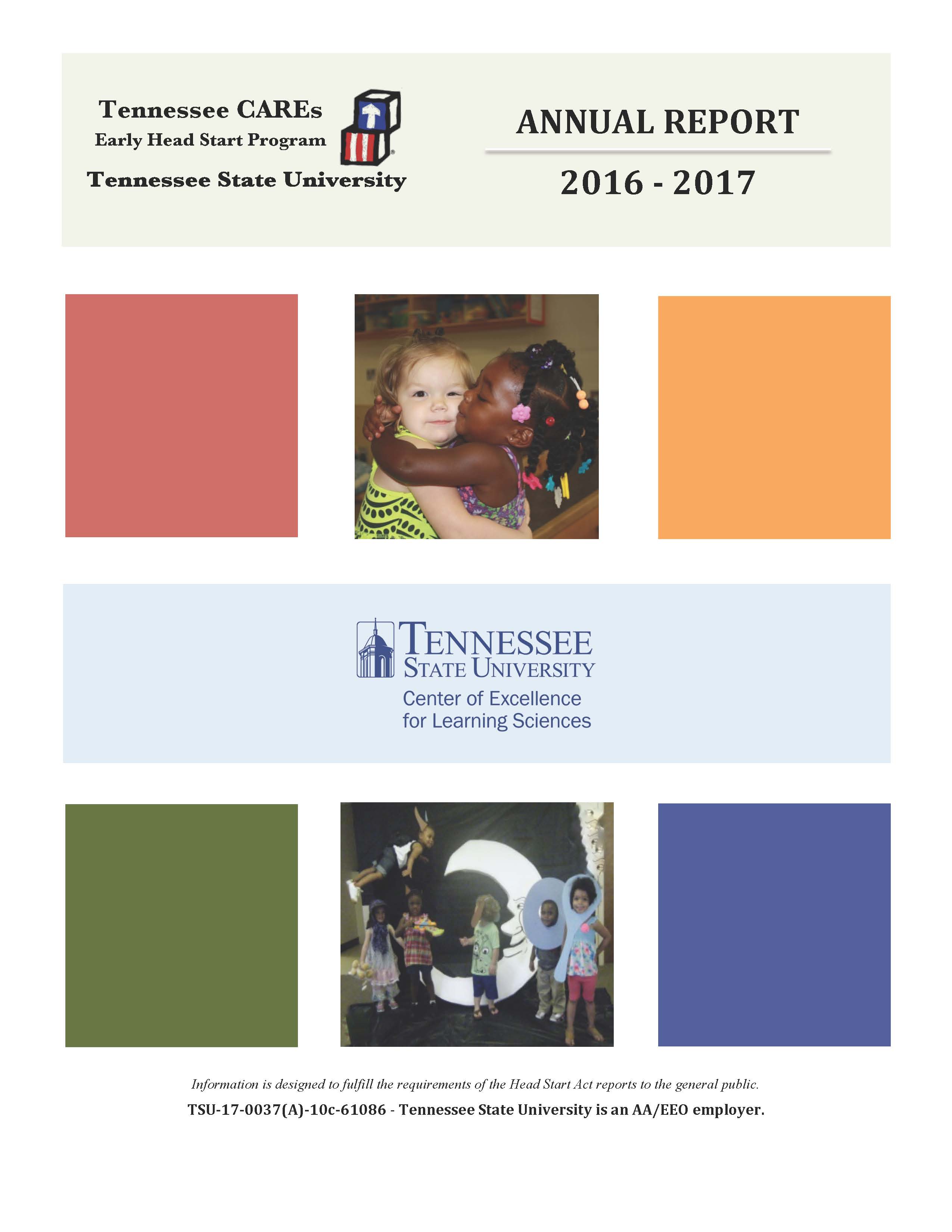 2017 CARES Annual Report