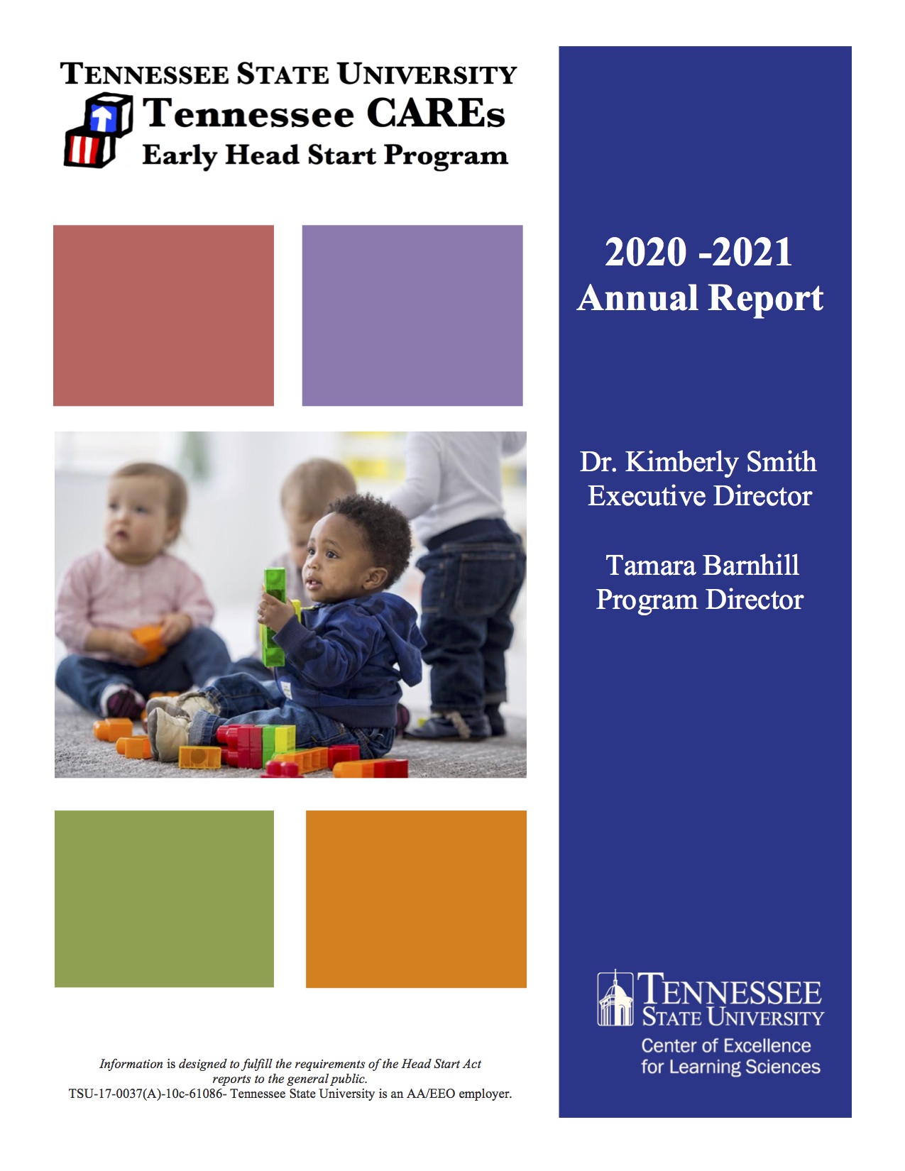 TN CARES 2021 annual report