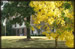 Visit Campus