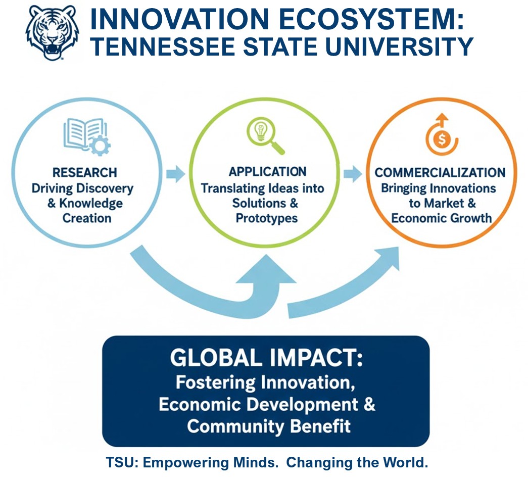Innovation Ecosystem Infographic