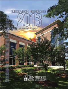 Annual Report 2013