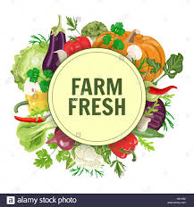 FarmFresh