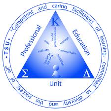 TSU Conceptual Framework Logo