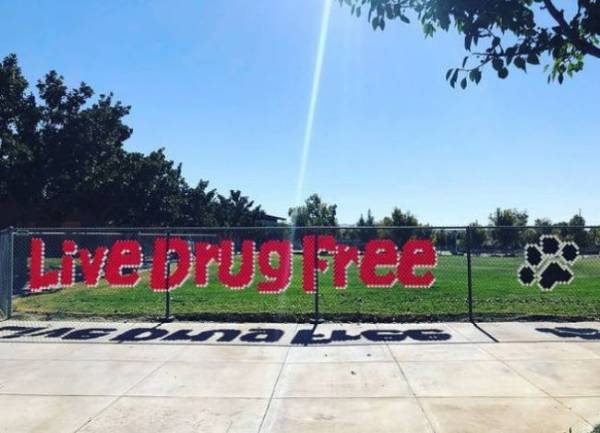 Drug Free Solo Cup Fence Display