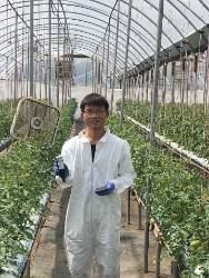 Graduate student, Jun, is holding a Spiio soil sensor and standing in the center of a greenhouse that is producing tomatoes 