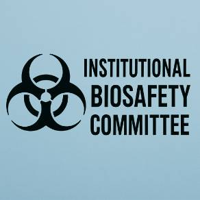 IBC