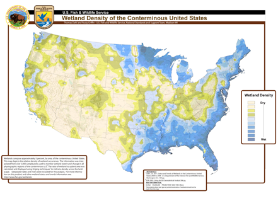 wetland map